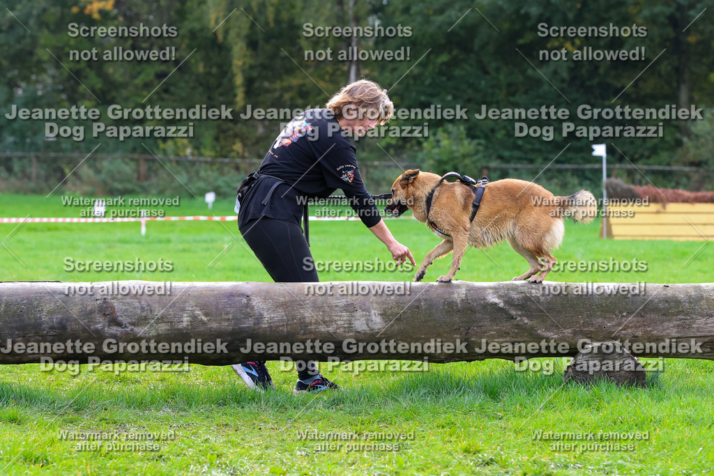 Dog Paparazzi -  SD1026-2132 | Dog Paparazzi Jeanette Grottendiek Fotografie & Videografie - Realisiert mit Pictrs.com