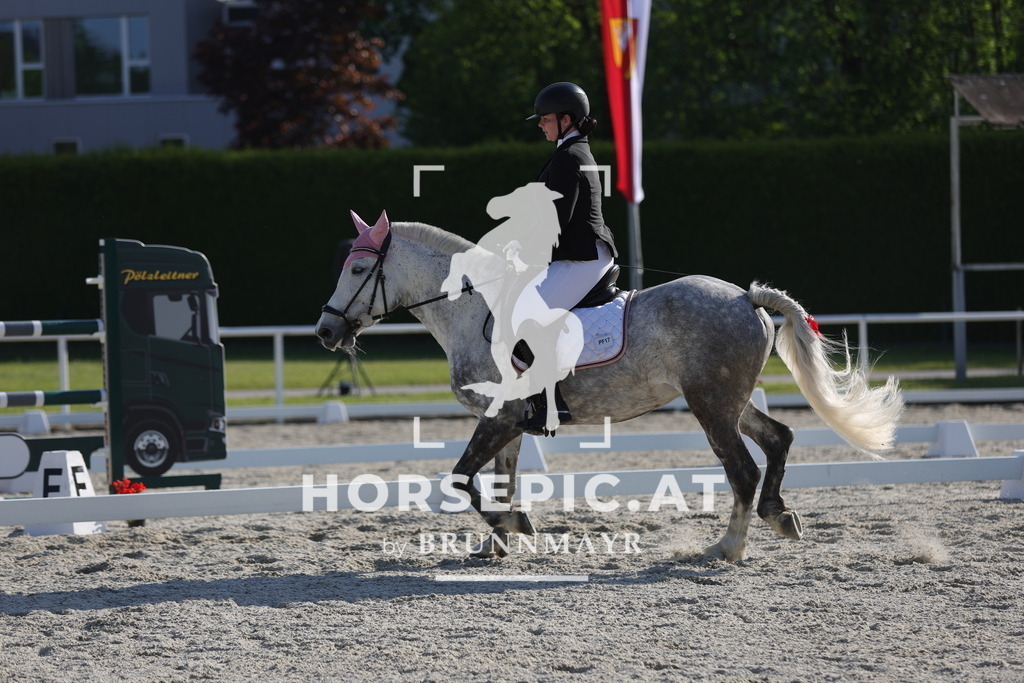 0P6A3678 | Willkommen bei Brunnmayr - Design & Fotografie – Ihrem Spezialisten für Reitturniere und Pferdeveranstaltungen in Oberösterreich, Salzburg und Bayern! Seit über 17 Jahren sind wir leidenschaftlich dabei.
