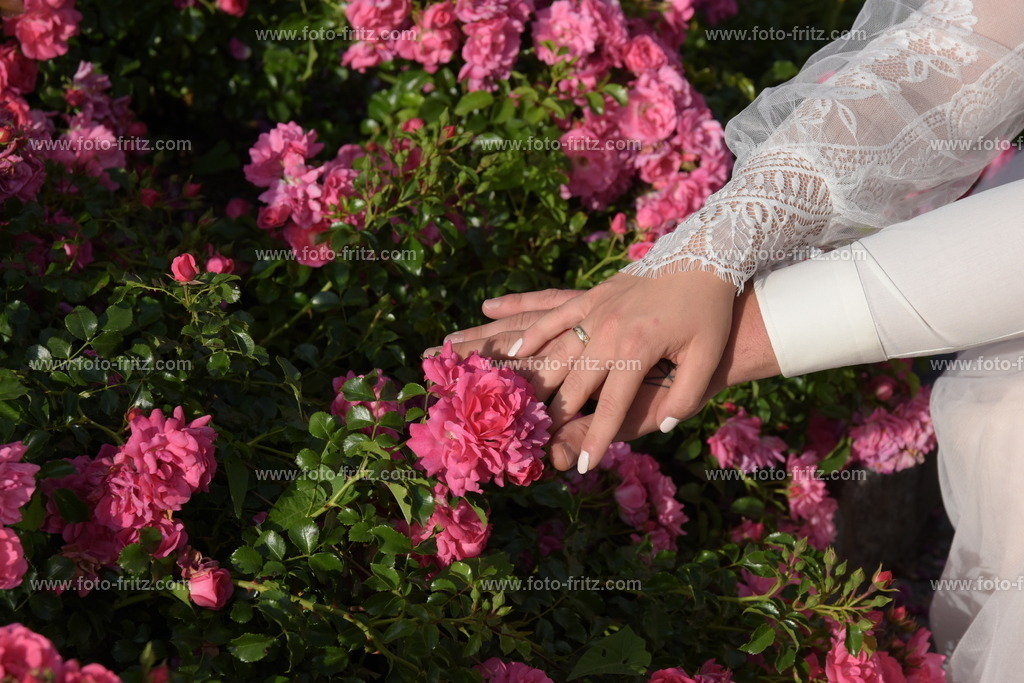 JUN_8522 | www.foto-fritz.com - Realisiert mit Pictrs.com