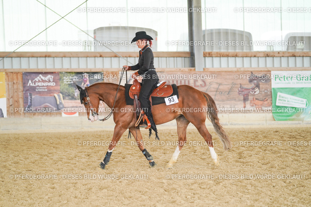 DSC02020 | Pferdegrafie