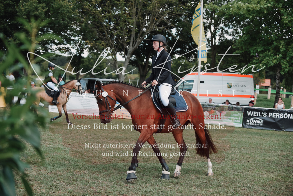 DSC_5824 | Pferde- und Turnierfotografie in Westsachsen. Pferdeportraits, Auftragszeichnungen und intuitive Kunst.
