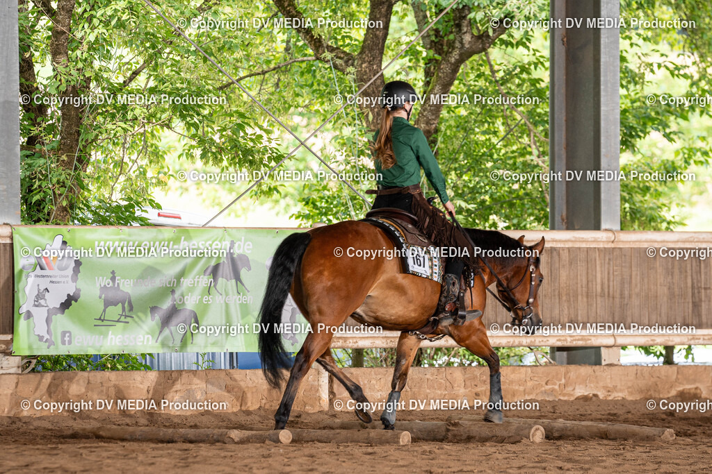 Erbach Tag 1-875 | dv-media-shop - Realisiert mit Pictrs.com