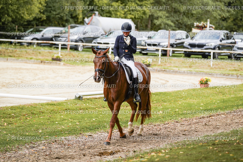 DSC09522 | Pferdegrafie