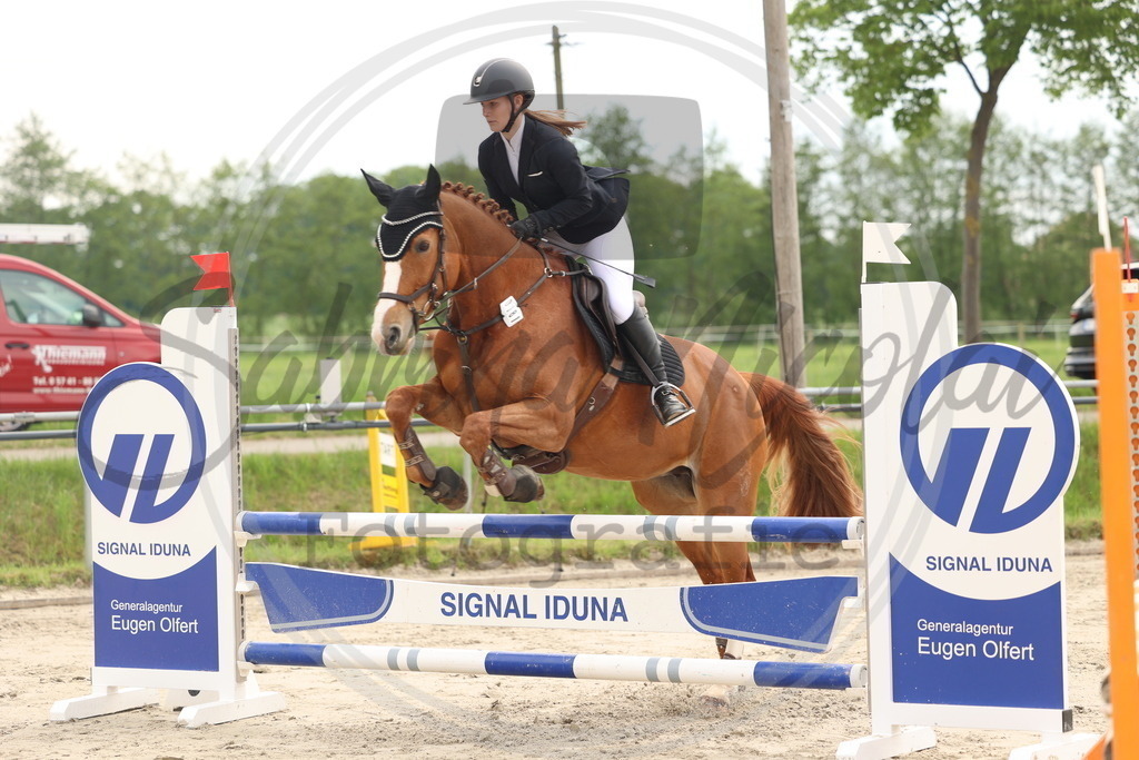 994A8179 | sabrinanicolaifotografie - Realisiert mit Pictrs.com