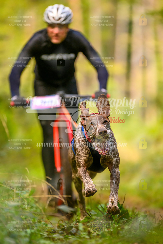 MompixPhotography_Yens2025_B2-42 | PayLife
