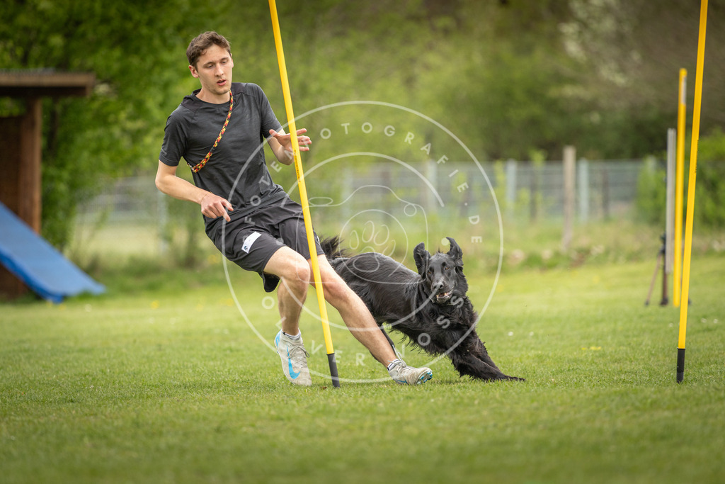 Pfotenfotografie_DV3A9770 | Hundefotografie, Tierfotograf, Pfotenfotografie, Fotoshooting Hund, Hunde Portrait, Hundesport, Hundeportraits, Heideshooting, Hunde, Sportfotograf, Hundefotograf, Turnierhundsport, THS,  - Realisiert mit Pictrs.com