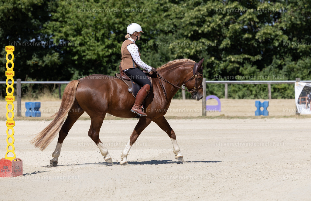 WE_Trail_16_KerstinBernhardt-3 | working equitationturnier fotograf videograf stoibphotography marixx film working equitation deutschland reitsport turnierfotografie eventfotografie equestrian events