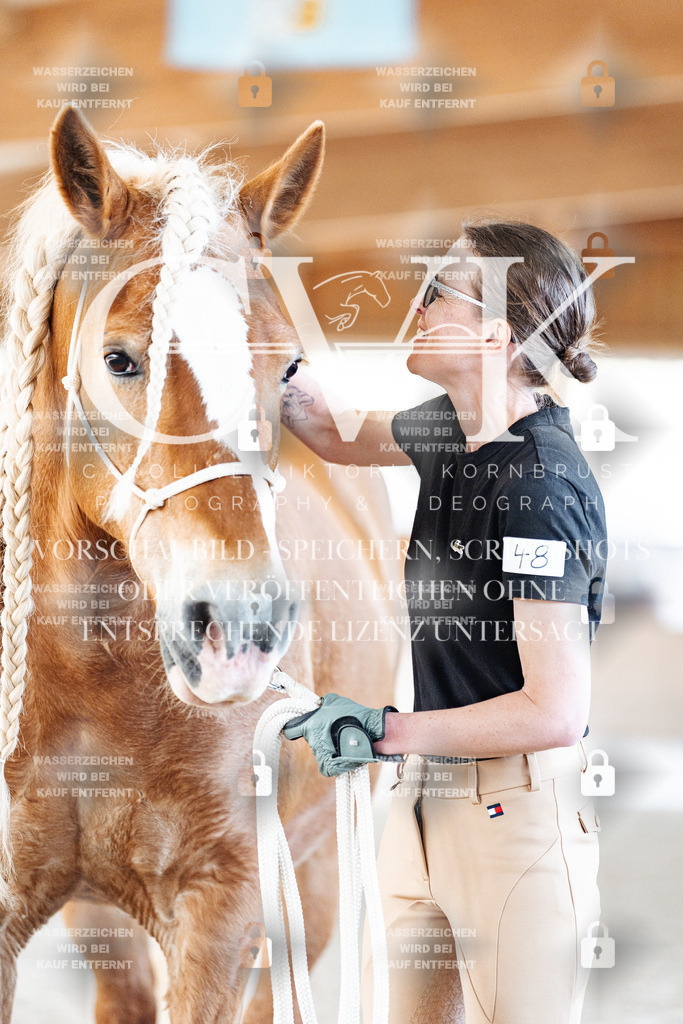 CK905955 | Turnierfotografie Pferdefotografie Trier Rheinland-Pfalz Pferdesport Reitsport Tierfotografie Sportfotografie Pferdevideo Pferdevideografie Equestrianvideography equestrianphotography  - Realisiert mit Pictrs.com