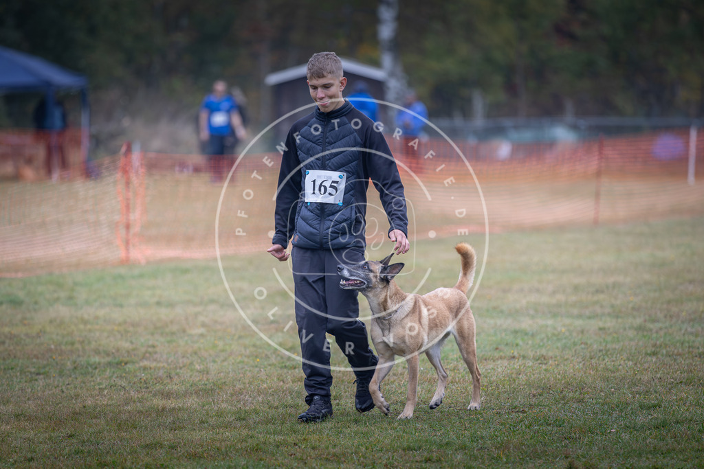 Pfotenfotografie_DV3A8911 | Hundefotografie, Tierfotograf, Pfotenfotografie, Fotoshooting Hund, Hunde Portrait, Hundesport, Hundeportraits, Heideshooting, Hunde, Sportfotograf, Hundefotograf, Turnierhundsport, THS,  - Realisiert mit Pictrs.com