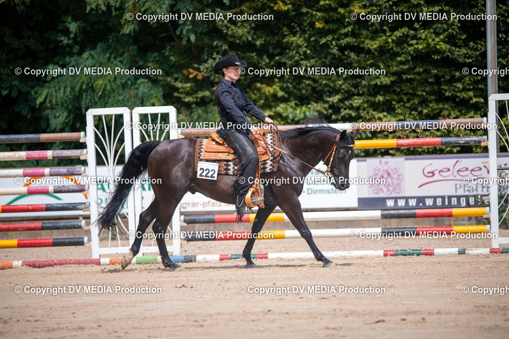 ZS2_3801 | dv-media-shop - Realisiert mit Pictrs.com