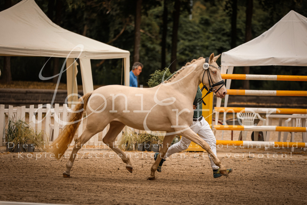 10.-12.Elite00003 | Leoni Ertmer Photography - Realisiert mit Pictrs.com