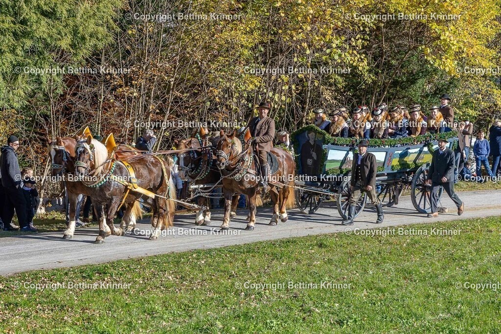 LBT25-699 | foto-bettina-krinner - Realisiert mit Pictrs.com