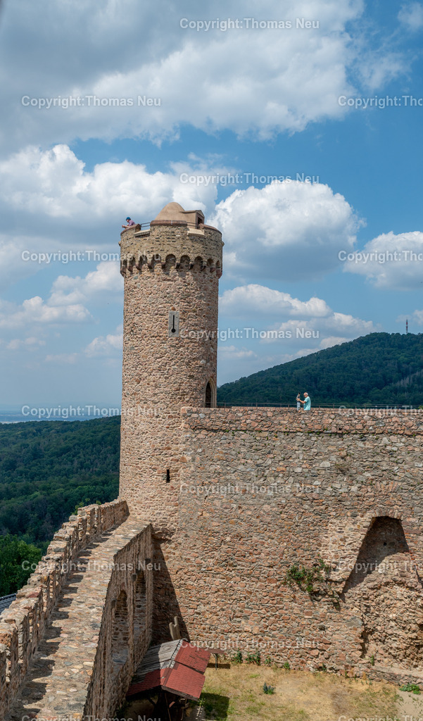 DSC_0588 | Schloss Auerbach,  Burgruine an der Hessischen Bergstraße im Bensheimer Stadtteil Auerbach,  Bild: Thomas Neu