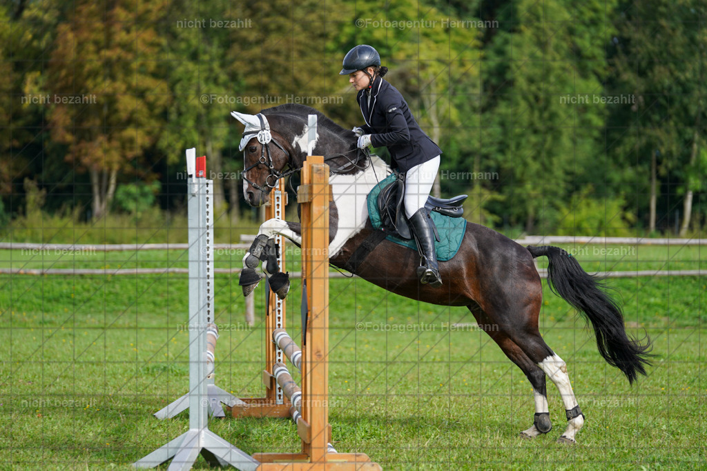 20230917-FAH09124 | Landsberg am Lech, 2023, Kaufbeuren, Kempten, Allgäu, Turnierfotografen Bayern, Fotoagentur Herrmann, Turnierbilder, Reitsport Fotos, Pferdefotograf, Augsburg, Bad Tölz, Dachau, Karlsfeld, Memmingen, Buchloe, Schwabmünchen