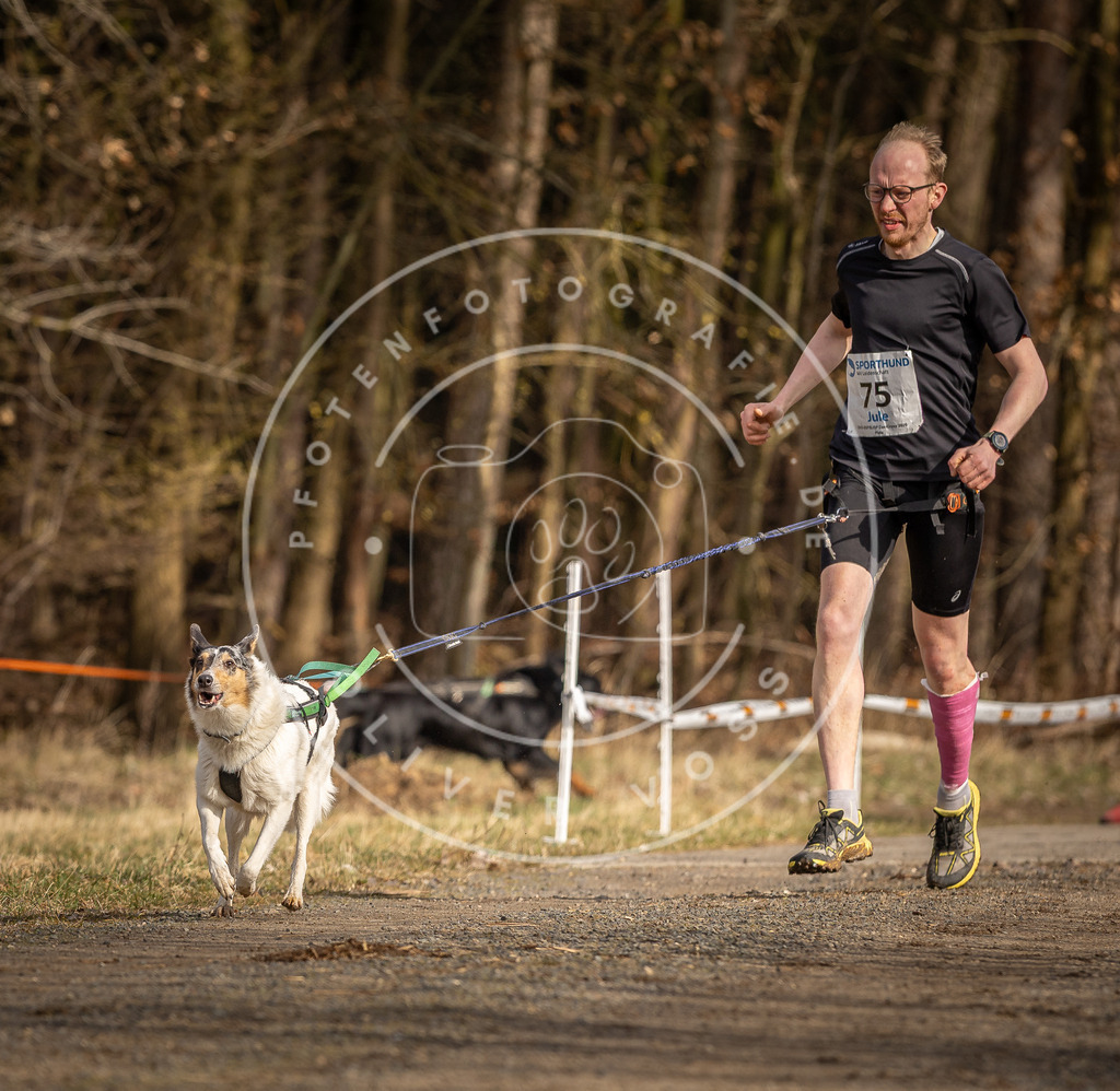 DV3A3692 | Hundefotografie, Tierfotograf, Pfotenfotografie, Fotoshooting Hund, Hunde Portrait, Hundesport, Hundeportraits, Heideshooting, Hunde, Sportfotograf, Hundefotograf, Turnierhundsport, THS,  - Realisiert mit Pictrs.com