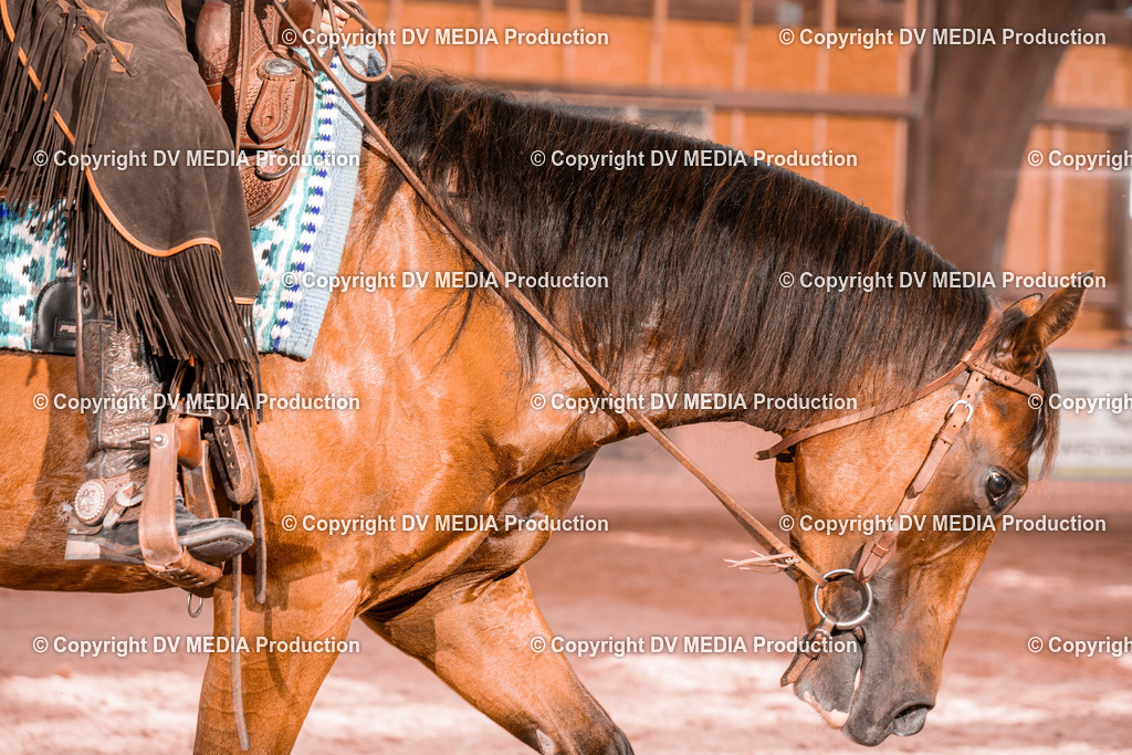 NE300510 | dv-media-shop - Realisiert mit Pictrs.com