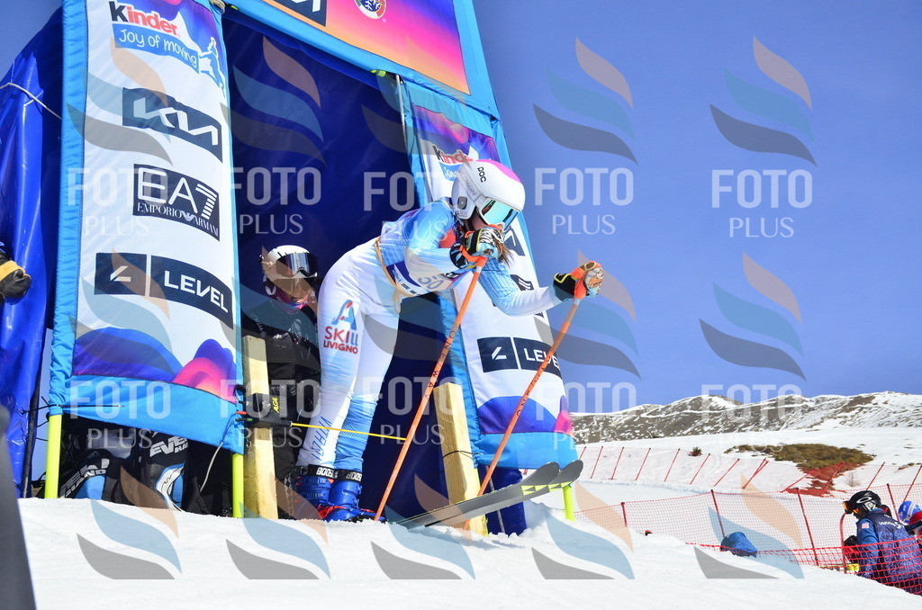 _ELE0137 | holidayphoto