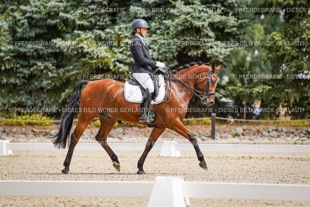 DSC03676 | Pferdegrafie