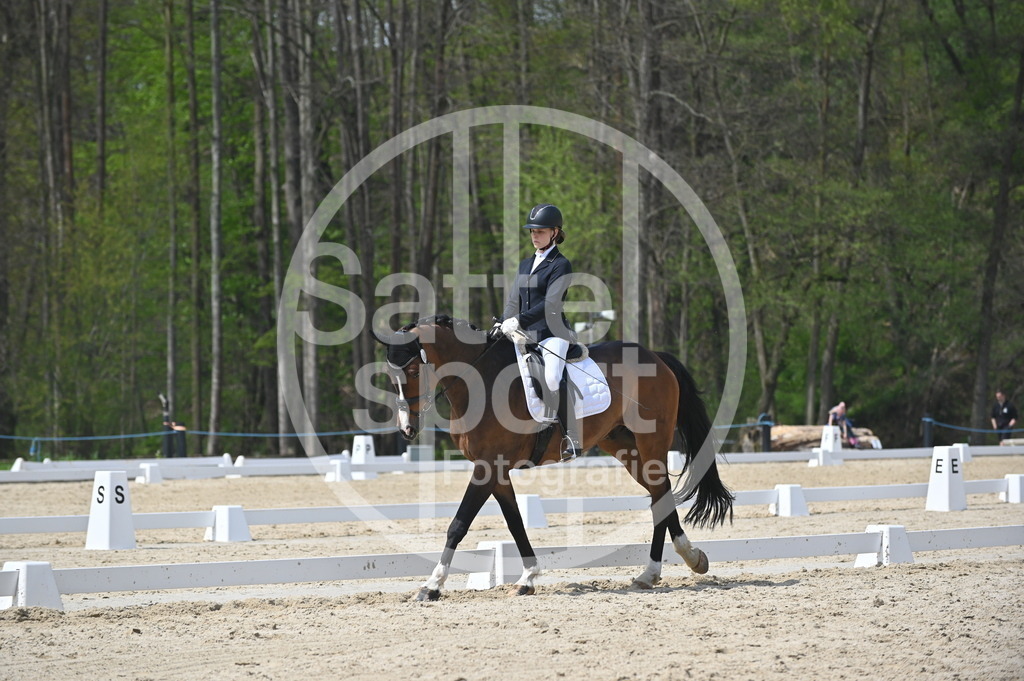 DSC_2370 | sattelsport - Realisiert mit Pictrs.com