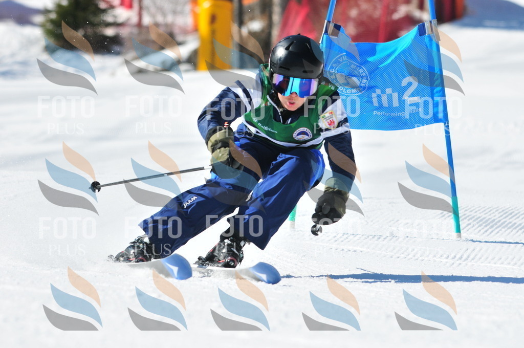 C4153 | holidayphoto