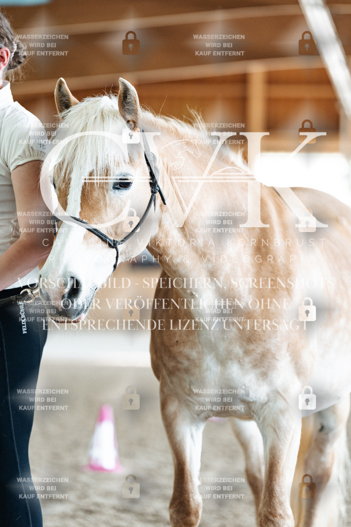 CK908639 | Turnierfotografie Pferdefotografie Trier Rheinland-Pfalz Pferdesport Reitsport Tierfotografie Sportfotografie Pferdevideo Pferdevideografie Equestrianvideography equestrianphotography  - Realisiert mit Pictrs.com