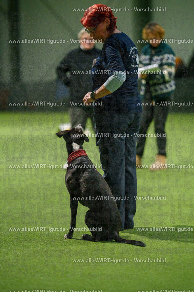 7R507433 | Professionelle Tierfotografie in Mönchengladbach von Daniel Wirth (allesWIRTHgut). Liebevolle & natürliche Bilder von Hunden & Katzen für unvergessliche Erinnerungen.