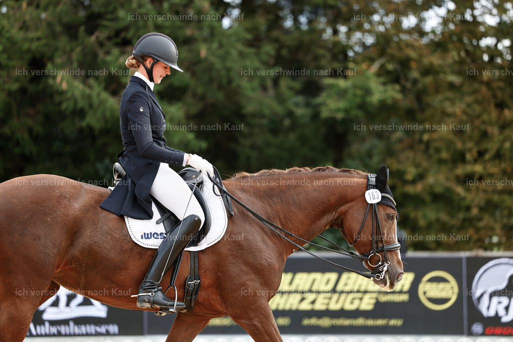 6-163-AMATUER-DRESSUR S_  -StoibPH-3480 | working equitationturnier fotograf videograf stoibphotography marixx film working equitation deutschland reitsport turnierfotografie eventfotografie equestrian events
