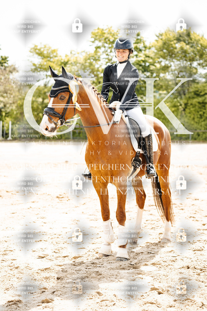 CK703614 | Turnierfotografie Pferdefotografie Trier Rheinland-Pfalz Pferdesport Reitsport Tierfotografie Sportfotografie Pferdevideo Pferdevideografie Equestrianvideography equestrianphotography  - Realisiert mit Pictrs.com