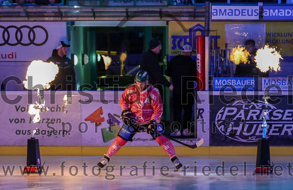 2025-10-28_009_TSV_Erding_gegen_Toelzer_Loewen | Erding, Deutschland, 28.10.2025:Eishockey, Oberliga Süd 2025 / 2026, 13. Spieltag, TSV Erding gegen Tölzer Löwen, Endergebnis: 2:5Maximilian Forster (Erding Gladiators, #81)Foto: Christian Riedel / fotografie-riedel.net