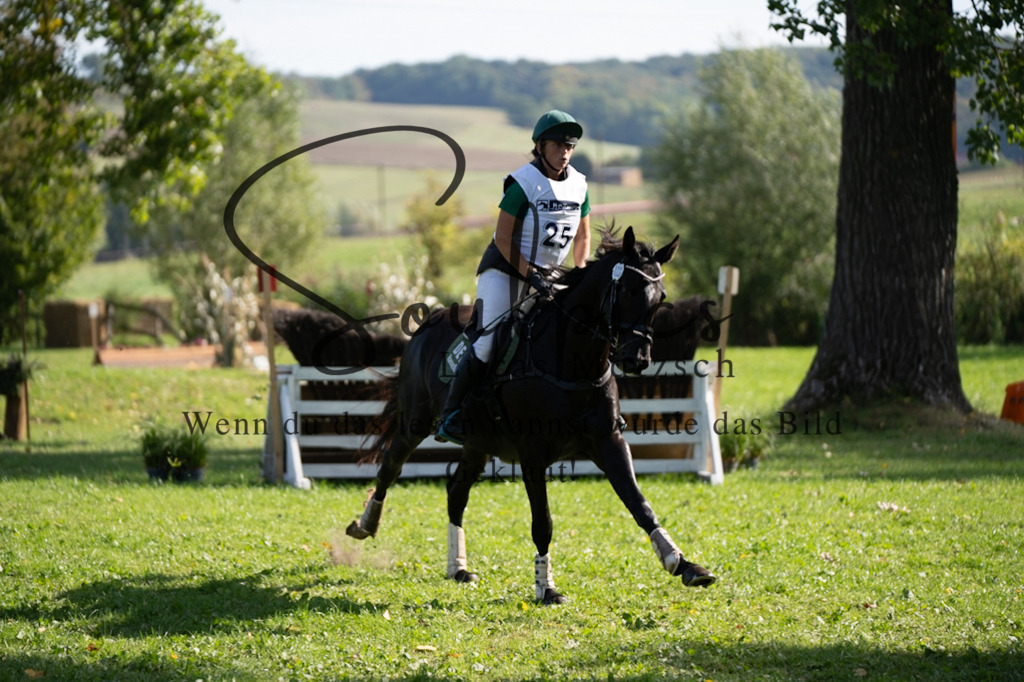 A7V03412 | Pferdefotograf