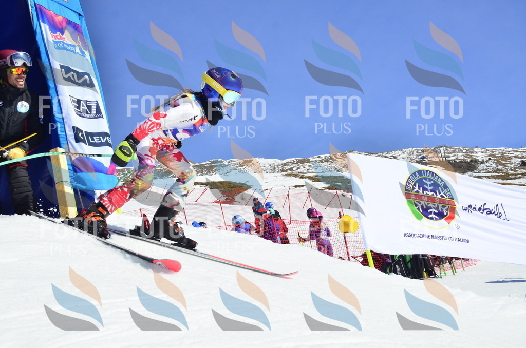 _ELE0185 | holidayphoto