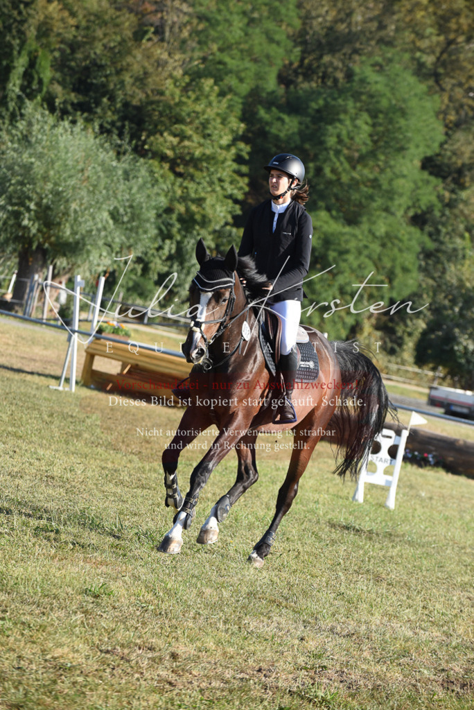 DSC_5135 | Pferde- und Turnierfotografie in Westsachsen. Pferdeportraits, Auftragszeichnungen und intuitive Kunst.