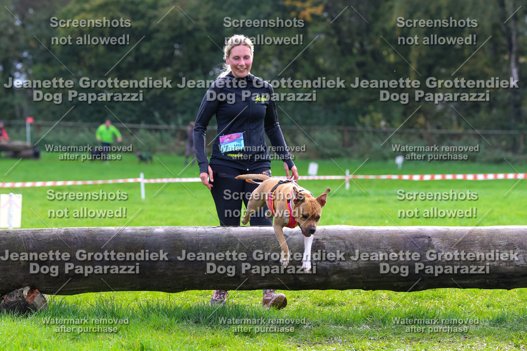 Dog Paparazzi -  SD1026-2177 | Dog Paparazzi Jeanette Grottendiek Fotografie & Videografie - Realisiert mit Pictrs.com