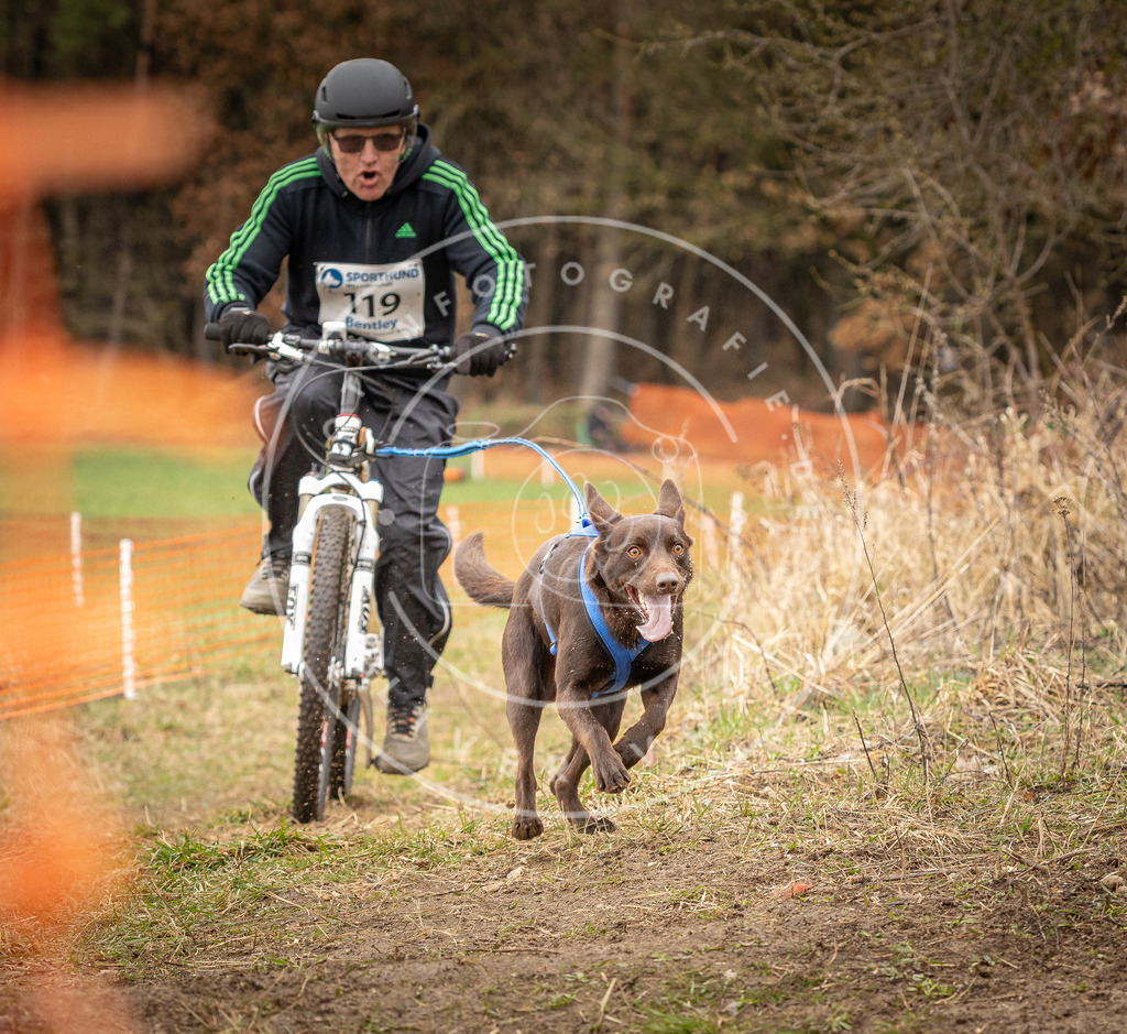 DV3A1029 | Hundefotografie, Tierfotograf, Pfotenfotografie, Fotoshooting Hund, Hunde Portrait, Hundesport, Hundeportraits, Heideshooting, Hunde, Sportfotograf, Hundefotograf, Turnierhundsport, THS,  - Realisiert mit Pictrs.com