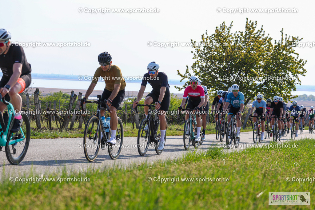 IMG_0975 | @sportshot_your_pictrs #yourpictures#roadtowm2029 #nrm #neusiedlerseeradmarathon #neusiedlersee #neusiedlerseetourismus #burgenland #mörbisch #nrm26 #burgenlandtourismus #voglundco #poweredbyburgenlandtourismus #radsport #rad #marathon #ucigranfondo #visitburgenland #ucigranfondoworldseries