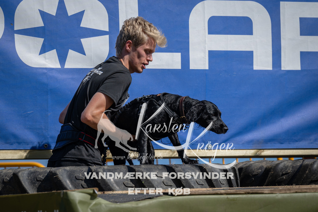 1146_ZZ92388 | kk-dogfotos