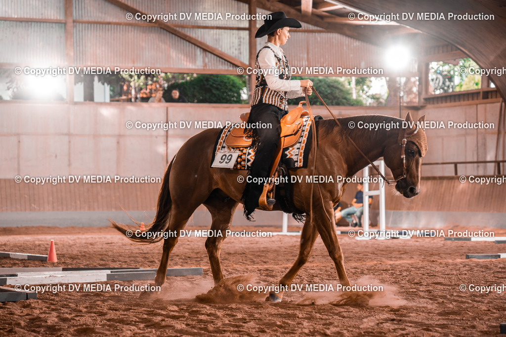 NE300181 | dv-media-shop - Realisiert mit Pictrs.com