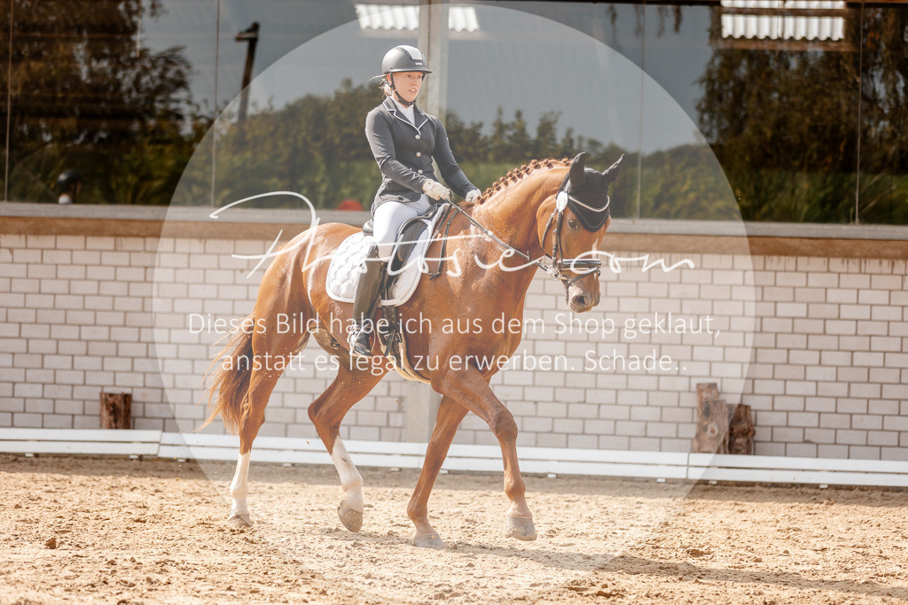 3I6A3778 | Stimmungsvolle Portraits und Reitsportfotografie im Ruhrgebiet und im Münsterland.

Pferdefotografie, Hundefotografie, Tierfotografie, Reportagen, Portraits von Tier und Mensch, Turnierfotografie in Bochum, Recklinghausen, Marl, Haltern am See, Dülmen.. - Realisiert mit Pictrs.com