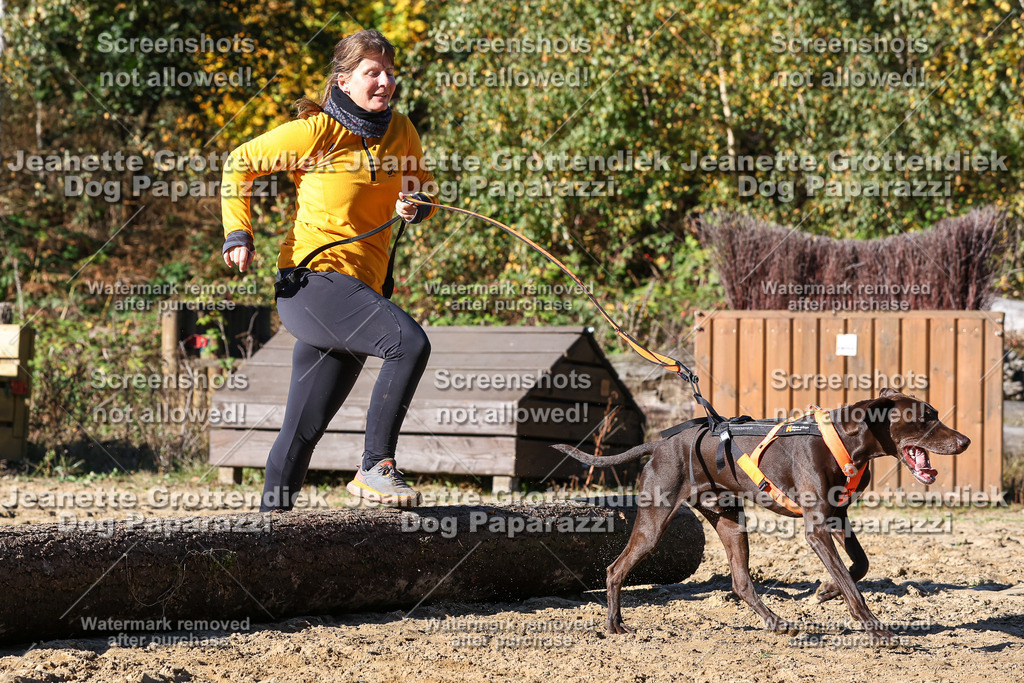 Dog Paparazzi - Strongdog 10-25-2294 | Dog Paparazzi Jeanette Grottendiek Fotografie & Videografie - Realisiert mit Pictrs.com