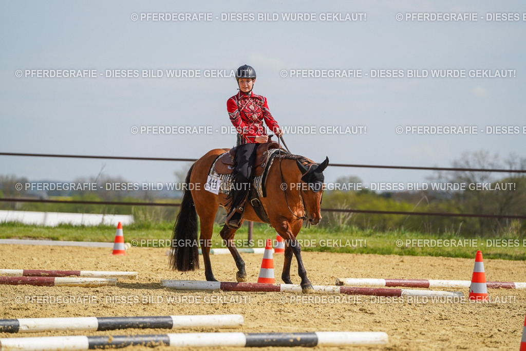 DSC04518 | Pferdegrafie