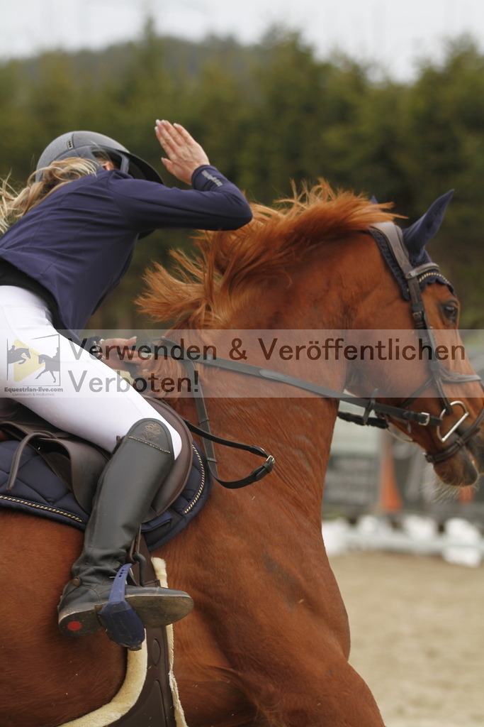 _MG_1199 | equestrian-live-com