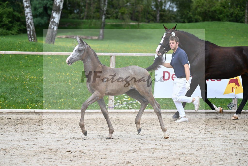 Kat-Nr. 27 SF Arezzo Man_Schwarz GbR_25230719 | hf-fotografie - Realisiert mit Pictrs.com