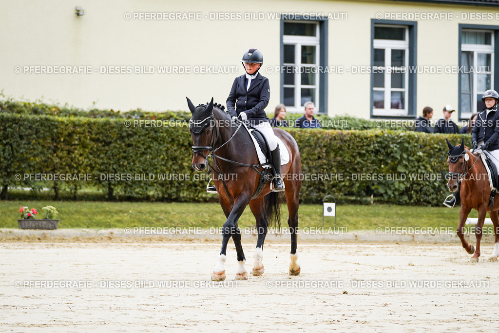 DSC04400 | Pferdegrafie