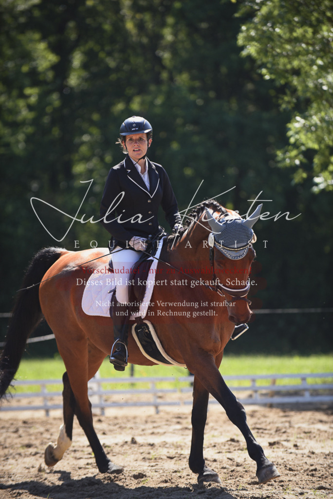 DSC_0445 | Pferde- und Turnierfotografie in Westsachsen. Pferdeportraits, Auftragszeichnungen und intuitive Kunst.