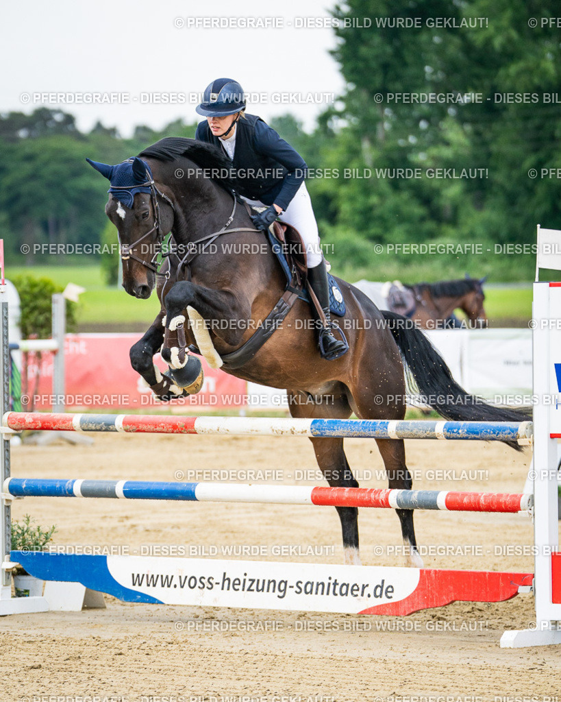 DSC05463 | Pferdegrafie