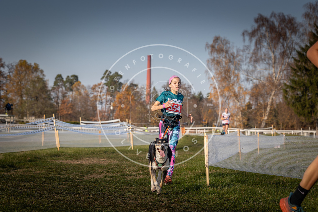 CaniXpix_0L8A9341 | Hundefotografie, Tierfotograf, Pfotenfotografie, Fotoshooting Hund, Hunde Portrait, Hundesport, Hundeportraits, Heideshooting, Hunde, Sportfotograf, Hundefotograf, Turnierhundsport, THS,  - Realisiert mit Pictrs.com