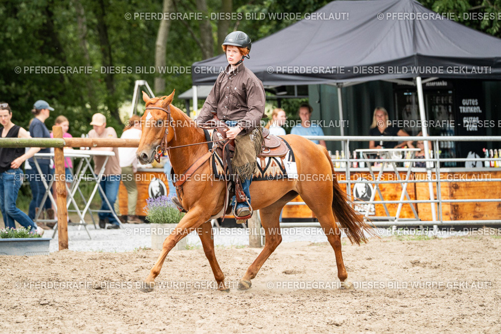 DSC01364 | Pferdegrafie