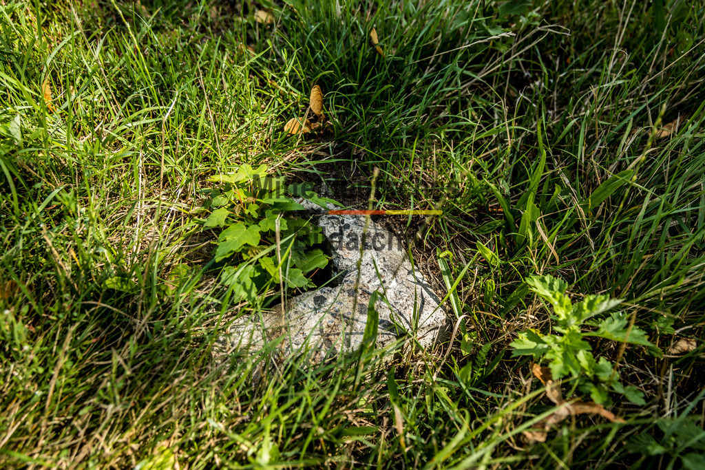 innerdeutsche Grenze Grünes Band Helmstedt-7466 | Die innerdeutsche deutsch-deutsche Grenze, das Grüne Band - Realisiert mit Pictrs.com