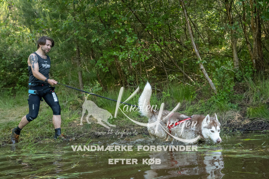 1015DKK990305 | kk-dogfotos