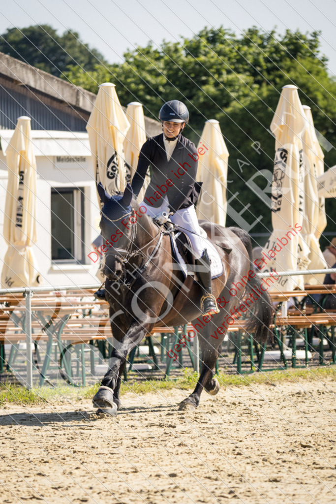 IMG_2741 | Sport-, Event- und Tierfotos in Profiqualität. Einfach auswählen, bestellen und herunterladen. Dein Moment – perfekt festgehalten.